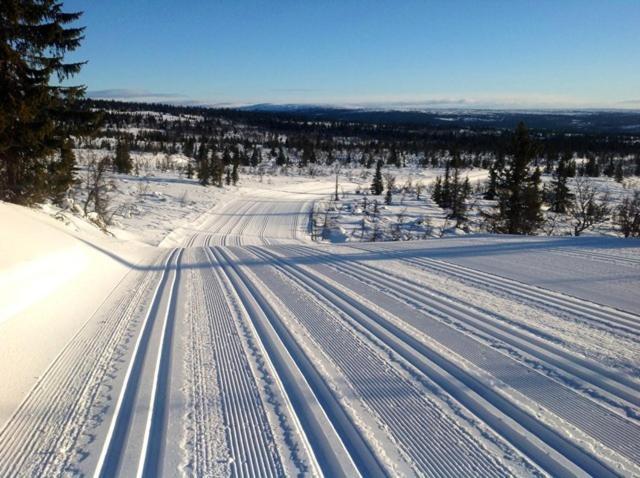 Centrally Located Cottage At Sjusjoen Ski Center Экстерьер фото